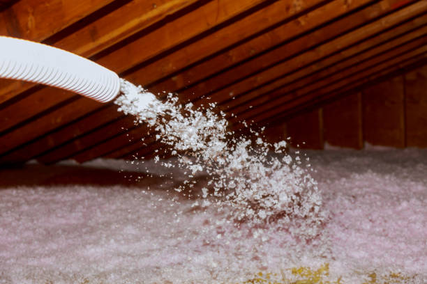 Best Eco-Friendly Insulation in Liberty, SC