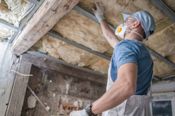 Best Insulation Maintenance and Repair in Liberty, SC